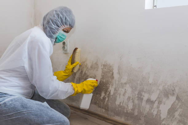 Best Certified Mold Removal  in Keyport, NJ