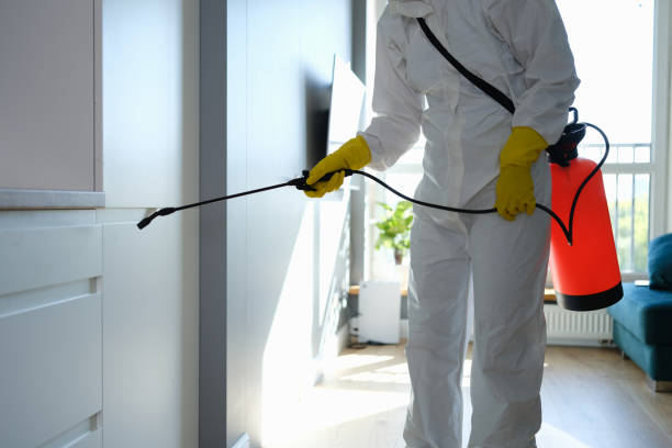 Trusted Keyport, NJ Mold Removal Experts