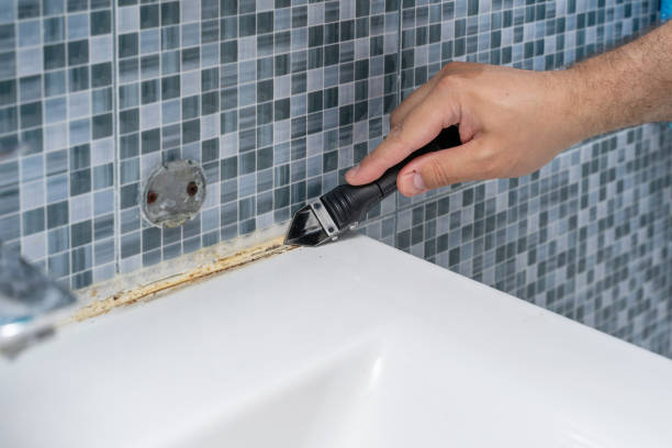 Best Residential Mold Removal  in Keyport, NJ