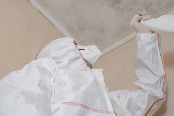 Best Commercial Mold Removal  in Keyport, NJ